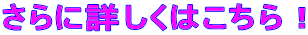 logo11.gif